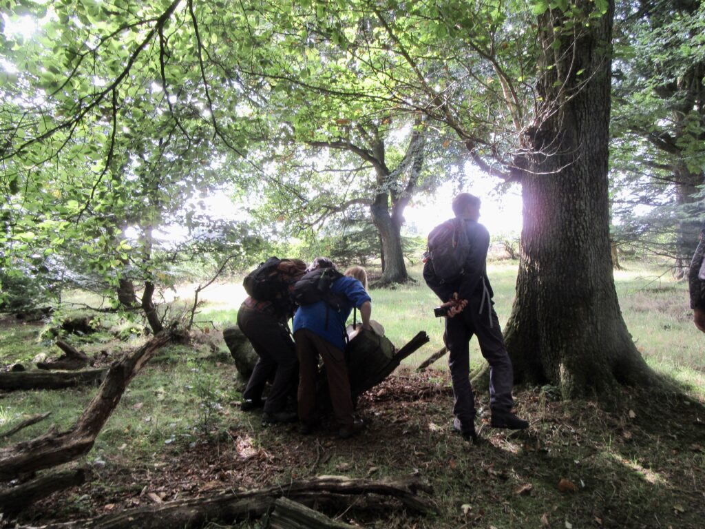 ENHS Group in woodland