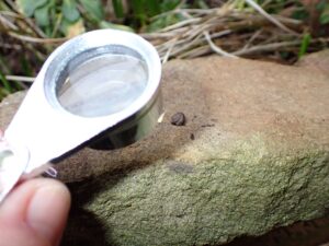 close up of a hand holding a handlens